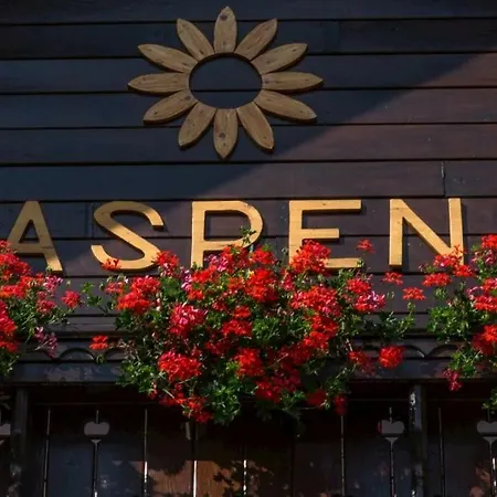 Aspen *